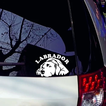 Masina Autocolante Decor Motocicleta Autocolante Drăguț Câine Labrador Accesorii Decorative Creative de protecție Solară rezistent la apa PVC.19cm