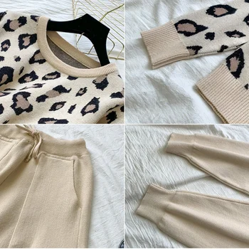 Toamna Iarna Femei Trening 2020 Casual Pulover Vrac + De Înaltă Talie Pantaloni Harem Două Bucata Set Coreea Leopard Costum Tricotate